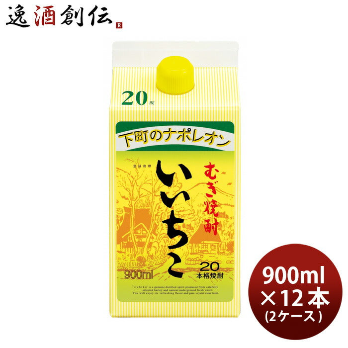 いいちこ 20度 パック 900ml 12本 2ケース 麦焼酎 焼酎 三和酒類