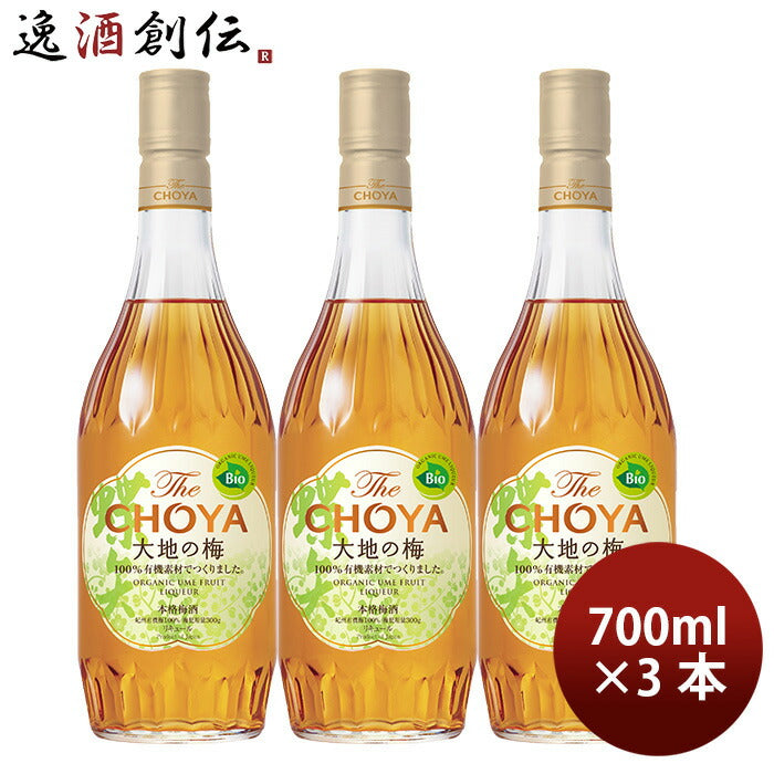 1日5本限定 CHOYA チョーヤ 蝶矢 限定熟成 梅酒 - その他