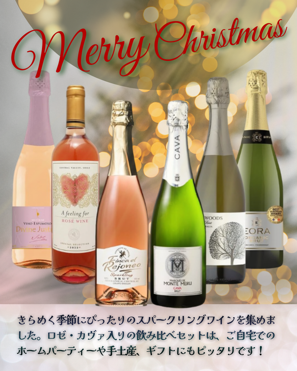 乾杯の瞬間に輝く、6種のきらめき。高コスパで叶う贅沢クリスマス！