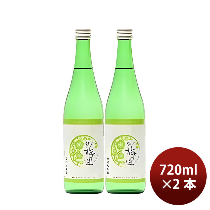 日本酒 越乃梅里 特別純米酒 720ml 2本 DHC酒造 ギフト