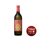 焼酎 麦焼酎 25度 CHILL GREEN bitter&tropical 720ml × 1ケース / 6本 チルグリーン 濱田酒造 ボタニカル系 ギフト