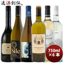 白ワイン6本詰め合わせ女性が選んだ！サクラアワード受賞酒デイリーワイン白ワイン750ml×6本セット