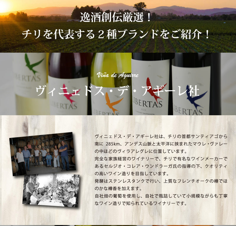 父の日 厳選！コスパ最強！ リベルタス & コノスル チリのヴァラエタルワイン12本セット 750ml ワインセット 飲み比べ
