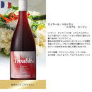 冷やして美味しい！ 赤ワインセット 飲み比べ 6本 バイヤー厳選