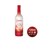 果実酒 洋酒 ワインアイスヌーボー 氷熟梅ワイン CHOYA ICE NOUVEAU 2025 720ml × 2ケース / 12本 チョーヤ 限定 ギフト 新生活 入学祝い 卒業祝い 就職祝い 進学祝い