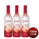 果実酒 洋酒 ワインアイスヌーボー 氷熟梅ワイン CHOYA ICE NOUVEAU 2025 720ml 3本 チョーヤ 限定 ギフト 新生活 入学祝い 卒業祝い 就職祝い 進学祝い