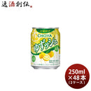 チョーヤゆずッシュ缶250ml×2ケース/48本ゆず酒ゆずCHOYA四国産ゆずっしゅチューハイチョーヤ梅酒既発売