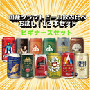 ビール 国産クラフトビール バランス良し！ ビギナーズ 12種 12本 飲み比べセット 逸酒創伝 オリジナル お酒 誕生日 新生活 入学祝い 卒業祝い 就職祝い 進学祝い