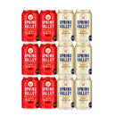 ビール キリン ＳＰＲＩＮＧ ＶＡＬＬＥＹ スプリングバレー 豊潤 ４９６ ×シルクエール (白) 350ml × 12本 飲み比べセット 新生活 入学祝い 卒業祝い 就職祝い 進学祝い
