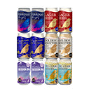 ビール 静岡県 FPBビール 限定品 スターダストラガー入り 6種12本 飲み比べセット クラフトビール お酒 旧 DHC