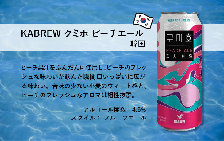 厳選！輸入クラフトビール アジア・オセアニア エリア 飲み比べ12本セット 逸酒創伝オリジナル アソート