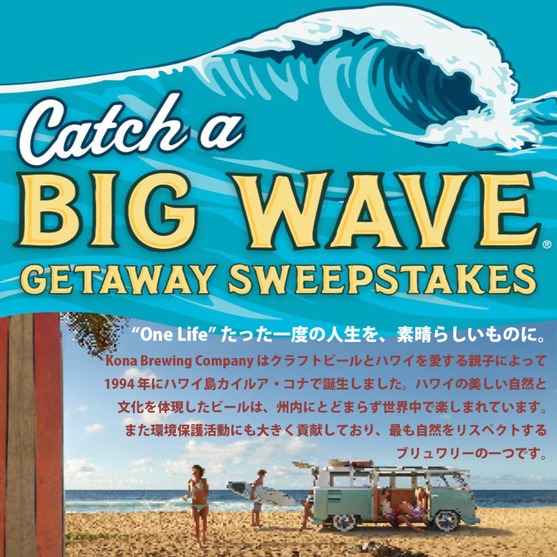 ビール ハワイ KONA BEER コナビール ビッグウェーブ ゴールデンエール 缶 473ml 48本(2ケース)