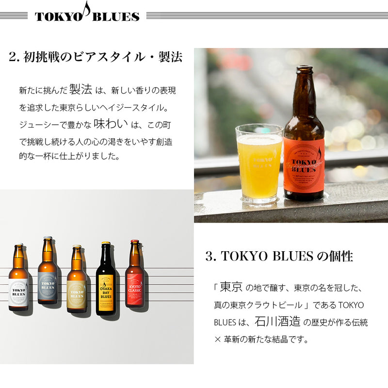 2026 お年賀 セット 人気ブルワリー 飲み比べ 4種 6本 クラフトビール 逸酒創伝 厳選