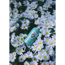 限定品 常陸野ネスト デイジーエール デイジーラガー 飲み比べセット 2種 24本 缶 茨城 クラフトビール