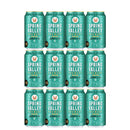 スプリングバレーブルワリー JAPANエール 香 350ml × 12本 詰め合わせセット クラフトビール ペールエール SPRING VALLEY BREWERY