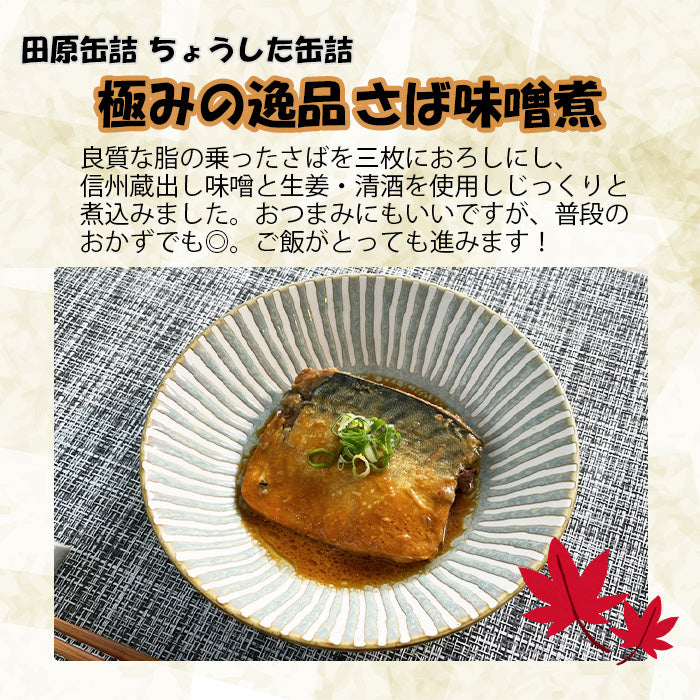 ちょうした缶詰 田原缶詰 ご飯のお供セット ５缶  のし・ギフト対応不可