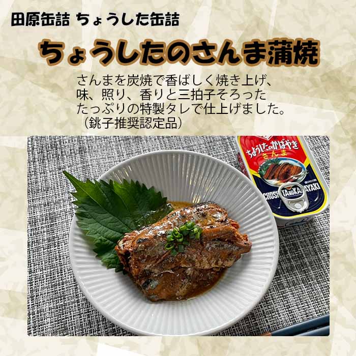 ちょうした缶詰 田原缶詰 ご飯のお供セット ５缶  のし・ギフト対応不可