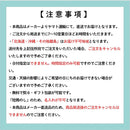 JA佐賀 チルスムージー ミチルン みかん＆パイン 果汁100% みかんジュース  のし・ギフト対応不可