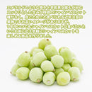 山形県産冷凍フルーツ シャインマスカットメロン桃セット のし・ギフト対応不可