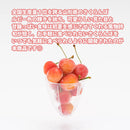 山形県産冷凍フルーツ おすすめセット２ （さくらんぼ・和梨・柿） のし・ギフト対応不可