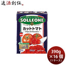 SOLLEONE ソル・レオーネ ダイストマト 紙パック 390g ×1ケース / 16個 ソルレオーネ トマトピューレ のし・ギフト対応不可
