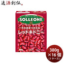 日欧 ソル・レオーネ レッドキドニービーンズ 390g×16箱（1ケース） イタリア 簡単 アレンジ自由 紙パック サラダ 長期常温保存