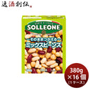 日欧 ソル・レオーネ ミックスビーンズ 390g×16箱（1ケース） イタリア 簡単 アレンジ自由 紙パック サラダ 長期常温保存