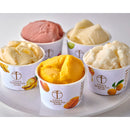 銀座千疋屋 銀座プレミアムソルベ ５種詰め合わせ 10個入(0820190) アイス 果物 フルーツ スイーツ プレゼント ギフト