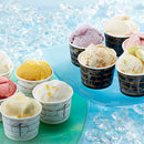 銀座千疋屋 銀座プレミアムアイス＆ソルベ 10個詰め合わせ(0820191) 果物 フルーツ スイーツ プレゼント ギフト