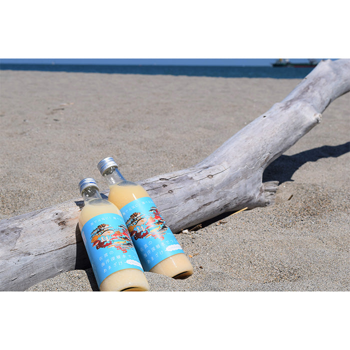 甘酒 麹甘酒 佐渡の海洋深層水でつくったあまざけ 720ml × 2ケース / 24本 今代司酒造 ギフト