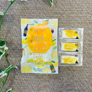 三原食品 柚子クリームチーズ3個セット 和食珍味 グルメ おつまみ 産地直送