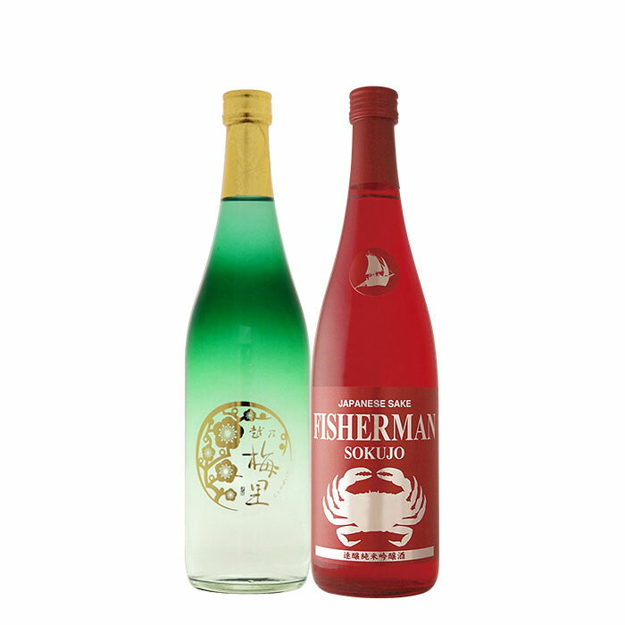 日本酒 純米吟醸 クリスマスセット 越乃梅里・塩川 2本飲み比べ 720ml 塩川酒造 DHC酒造