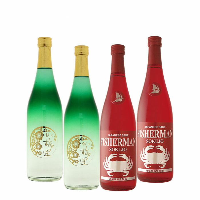 日本酒 純米吟醸 クリスマスセット 越乃梅里・塩川 各2本飲み比べ 720ml / 4本 塩川酒造 DHC酒造