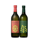 父の日 焼酎 CHILL GREEN 飲み比べセット 720ml 2本 濱田酒造 ギフト父の日 お酒