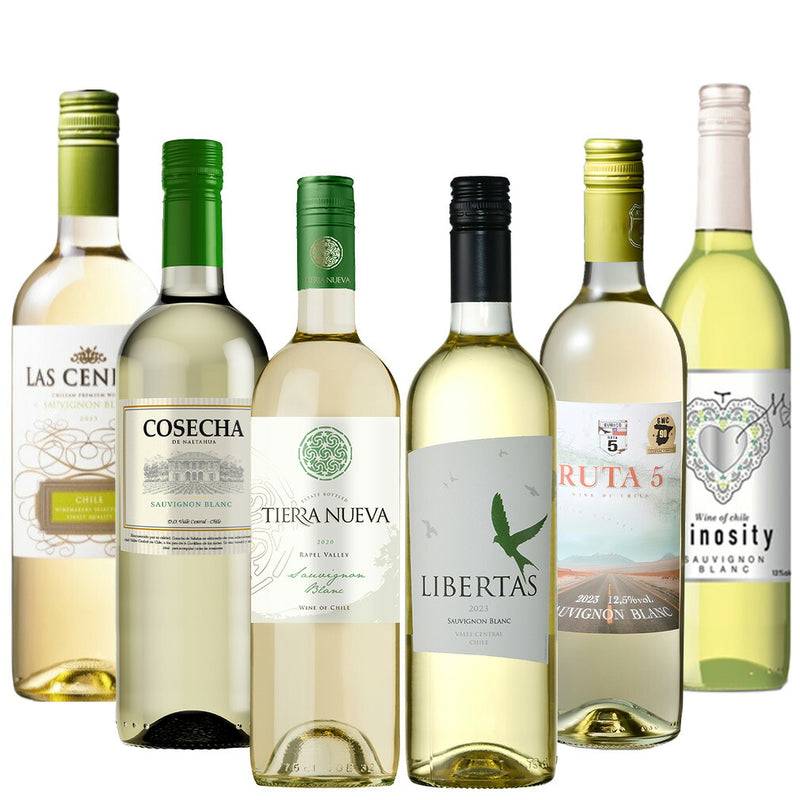 激安！！お買い得 ソーヴィニヨンブラン 飲み比べ ワインセット 6種6本セット 750ml