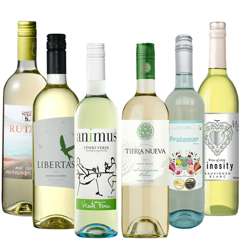 激安！！爽やかソーヴィニヨンブラン・微発砲 お買い得 ワインセット 6種6本 飲み比べ 750ml
