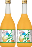 宝酒造 寶 北海道メロンのお酒 ふらのメロン 720ml 2本