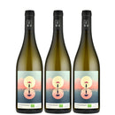 フランス ムーン・レンジ Moon Range (by Lionel Boutie) シャルドネ 750ml 3本 白ワイン