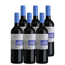 チリ コノスル マルベック ビシクレタ レゼルバ 750ml 6本 赤・フルボディ Cono Sur