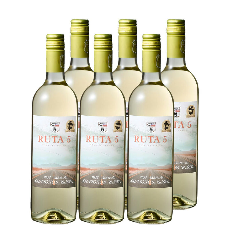 チリ ルタ5・ソーヴィニヨンブラン 750ml 6本 白・辛口