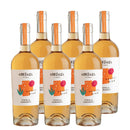 イタリア スコラ・サルメンティ コルティチェス 2023 750ml オレンジワイン 6本