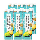 サントネージュ 酸化防止剤無添加のやさしいワイン 白 紙パック 1.8L × 1ケース / 6本