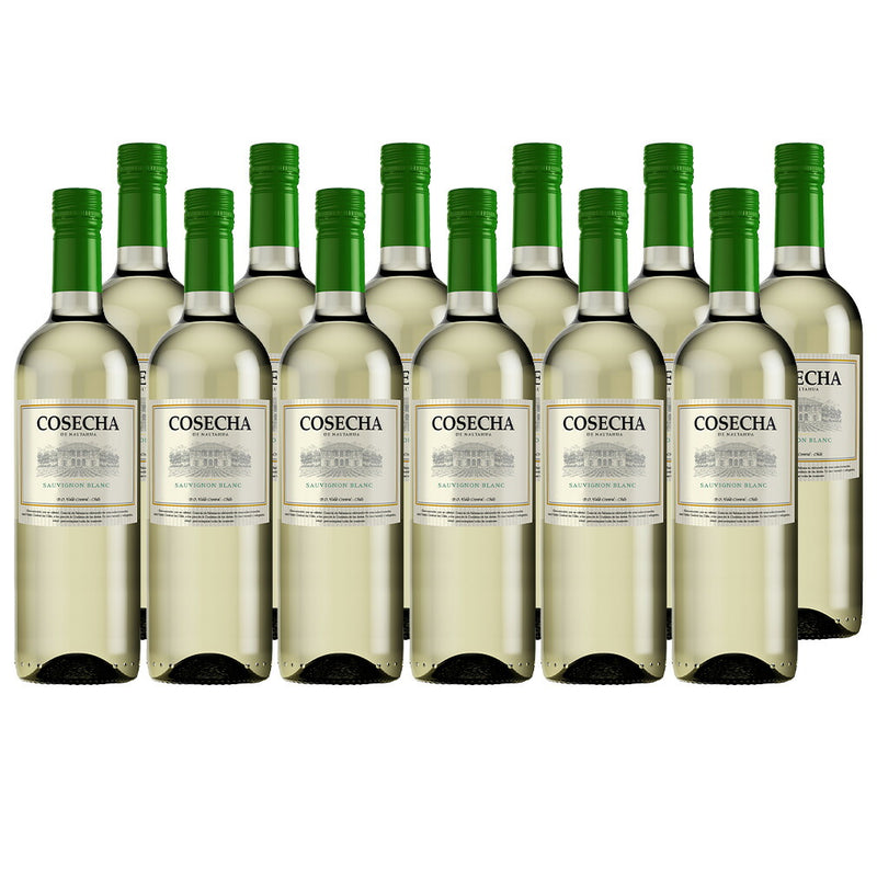 チリ コセチャ ソーヴィニヨンブラン 新 750ml × 1ケース / 12本 白ワイン・辛口