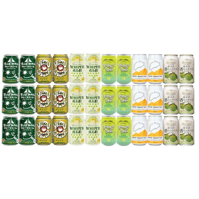 厳選 フルーツビール セット 人気ブルワリー 飲み比べ 6種 24本 クラフトビール