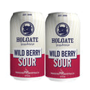 ビール ホルゲート ワイルドベリーサワー 缶 375ml × 2ケース / 32本 オーストラリア 輸入ビール 海外ビール お酒 新生活 入学祝い 卒業祝い 就職祝い 進学祝い