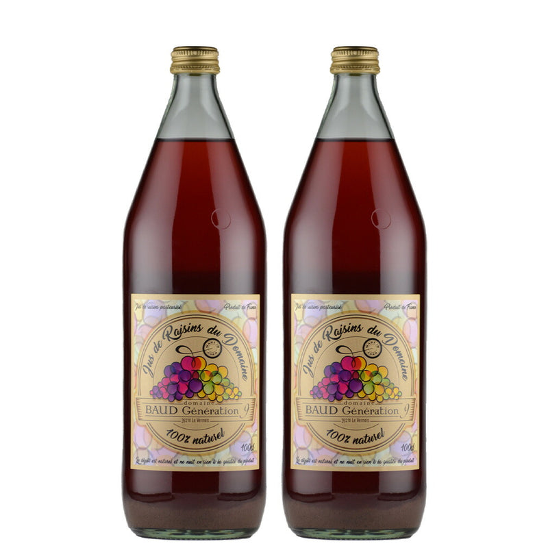 ジュ・ド・レザン・デュ・ドメーヌ 1000ml 2本 グレープジュース フランス