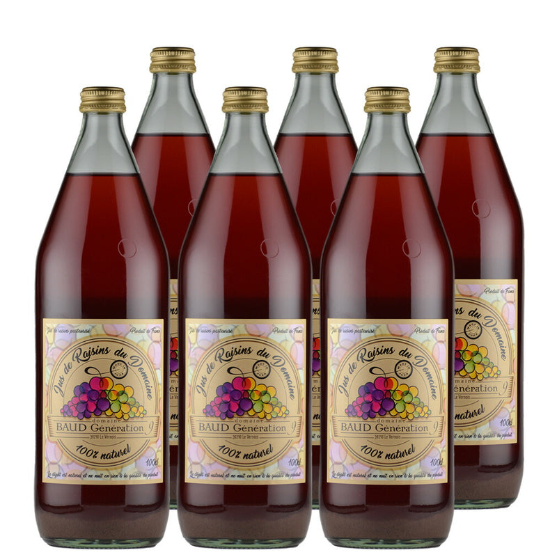 ジュ・ド・レザン・デュ・ドメーヌ 1000ml 6本 グレープジュース フランス
