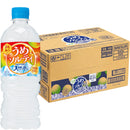 サントリー 天然水うめソルティ ペット 540ml × 1ケース / 24本