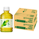 キリン 生茶ホット＆コールド ペット 280ml × 2ケース / 48本