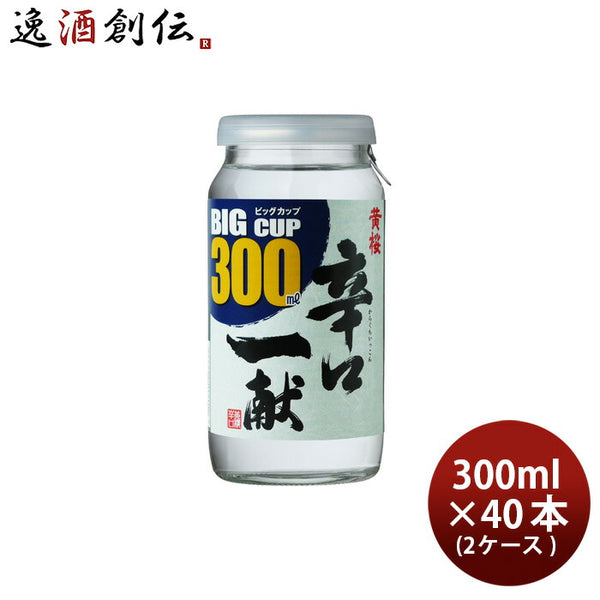 父の日 黄桜 辛口一献 ビッグカップ 300ml 40本 2ケース 日本酒 京都